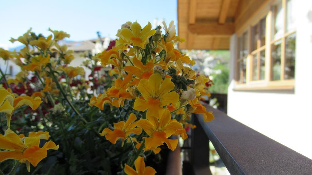 Chalet Casa Al Poz Tassullo Ngoại thất bức ảnh